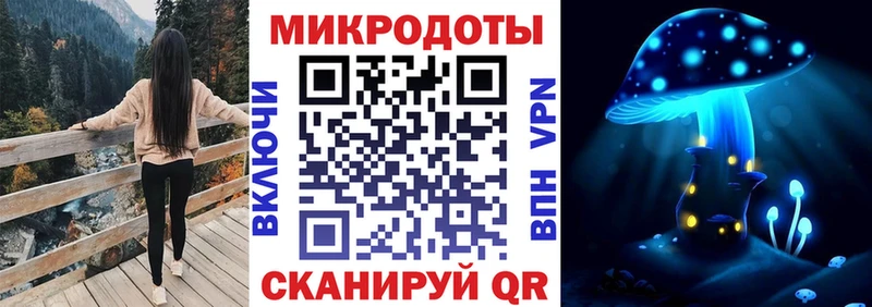 Галлюциногенные грибы Psilocybine cubensis  Барыш 